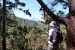 Udsigt til Teide fra toppen af Ruta del Agua.