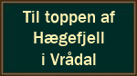 Til toppen af  Hægefjell  i Vrådal