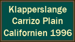 Klapperslange  Carrizo Plain  Californien 1996