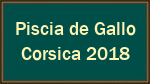 Piscia de Gallo Corsica 2018 Piscia de Gallo Corsica 2018