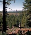 Jeg hentede Gunhild i Mammoth Airport i går, og vi er nu startet på en vandretur fra Glass Creek Campground til Obsidian Dome. Jeg hentede Gunhild i Mammoth Airport i går, og vi er nu startet på en vandretur fra Glass Creek Campground til Obsidian Dome.