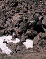 Vi har nået en 'kuppel', som vi tror er Obsidian Dome og sidder midt i en bunke sten af obsidian. Obsidian er et sort, glasagtigt mineral af vulkansk oprindelse. Vi har nået en 'kuppel', som vi tror er Obsidian Dome og sidder midt i en bunke sten af obsidian. Obsidian er et sort, glasagtigt mineral af vulkansk oprindelse.