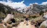 På vej til Mt. Whitney Portal sammen med Jarl Hedberg på 76, som jeg mødte i aftes. Han er af svensk afstamning, har tjent mange penge som bygningsingeniør i USA, men rejser nu rundt i en pickup truck med primitivt campingudstyr. På vej til Mt. Whitney Portal sammen med Jarl Hedberg på 76, som jeg mødte i aftes. Han er af svensk afstamning, har tjent mange penge som bygningsingeniør i USA, men rejser nu rundt i en pickup truck med primitivt campingudstyr.