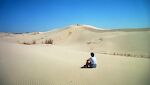 Fra Monahans Sandhills State Park, hvor vi overnatter på vej til Midland-Odessa Airport.