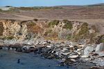 Ved Piedra Blancas kan man finde en koloni af søelefanter. Ved Piedra Blancas kan man finde en koloni af søelefanter.