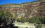 Jeg camperer i 3 dage på Big Bend Campground ved Crooked River, 'den snørklede flod', lige oven for dæmningen til Prineville Reservoir.