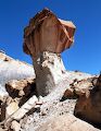 Jeg finder denne flotte 'toadstool' i Crosby Canyon.