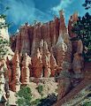 Fra Bryce Canyon National Park.