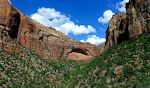 Kort efter Canyon Junction passerer vi 'The Great Arch of Zion'. Kort efter Canyon Junction passerer vi 'The Great Arch of Zion'.