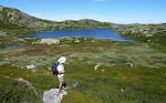 Det blev en flot tur på godt 11 km, som kun blev en smule forstyrret af de mange myg. Det blev en flot tur på godt 11 km, som kun blev en smule forstyrret af de mange myg.