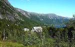 Udsigt fra bilen til bjergvæggen op til Hardangervidda på nordsiden af Totak søen. Udsigt fra bilen til bjergvæggen op til Hardangervidda på nordsiden af Totak søen.