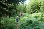 Vi tager en sidesti fra Venelifjell-stien, som går igennem et kuperet terræn med skov og små vandløb. Vi tager en sidesti fra Venelifjell-stien, som går igennem et kuperet terræn med skov og små vandløb.