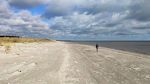 Vi går ned på stranden, hvor klitterne giver os lidt læ for den friske vestenvind (det er stadig kun 5°C). Efter godt 3 km langs stranden går vi tilbage gennem skoven i Professorens Plantage.