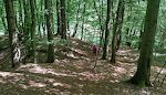 Vi fortsætter på en af de mange stier, og som man kan se, er der langs stien anbragt skilte. De fortæller om områdets planter og dyr samt geologi.