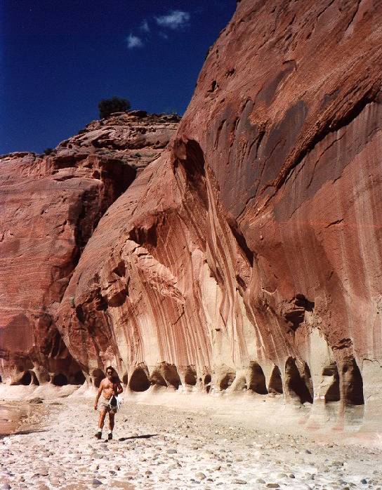 In Upper Paria Canyon