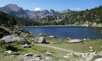 Dag 7: I dag besøger vi nogle af de søer, som i programmet kaldes 'Pessons søerne', opkaldt efter bjerget 'Pic de Pessons' på 2864 m. Vi er her kommet til den første sø, 'Estany Primer', i en højde af 2300 m.