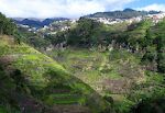 Opdyrkede terrasser langs Levada do Norte.