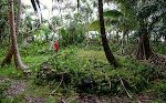 En 'heiau' er et gammelt hawaiiansk tempel eller helligt sted. En 'heiau' er et gammelt hawaiiansk tempel eller helligt sted.