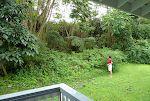 Vi befinder os på den våde side af Big Island, og huset er omgivet af en frodig bevoksning. Vi befinder os på den våde side af Big Island, og huset er omgivet af en frodig bevoksning.