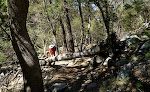 Vi er på vej op ad Carrie Nation Trail i Madera Canyon, ca. 90 km syd for hvor vi bor i Tucson. Vi er på vej op ad Carrie Nation Trail i Madera Canyon, ca. 90 km syd for hvor vi bor i Tucson.