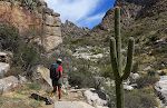 Man kan fortsætte op gennem Pima Canyon til Mount Kimball, en strækning på godt 11 km.