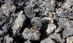 Blandt lavastenene ligger der mange koralblokke, som også er sorte.