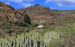 Efter ca. 3 km ender vejen ved det hvide hus, som er en pumpestation. Kaktussen i forgrunden hedder på dansk søjlevortemælk, på spansk 'cardón', og på engelsk 'Canary Island Spurge'. Efter ca. 3 km ender vejen ved det hvide hus, som er en pumpestation. Kaktussen i forgrunden hedder på dansk søjlevortemælk, på spansk 'cardón', og på engelsk 'Canary Island Spurge'.