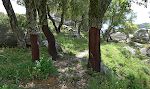 På de fleste kork-eg har man fjernet al bark på det nederste stykke. På de fleste kork-eg har man fjernet al bark på det nederste stykke.