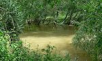 Vejen går ned til Río Guadiaro, men der er ingen bro, så det er helt umuligt at krydse floden. Vejen går ned til Río Guadiaro, men der er ingen bro, så det er helt umuligt at krydse floden.