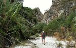 Vi er kommet ned til Río Higuerón lidt syd for Frigiliana. Vi er kommet ned til Río Higuerón lidt syd for Frigiliana.