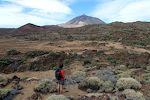 Og sådan ser Teide ud set fra Las Cañadas, det store krater, som toppen ligger i. Det blev dannet for ca. 150.000 år siden. Og sådan ser Teide ud set fra Las Cañadas, det store krater, som toppen ligger i. Det blev dannet for ca. 150.000 år siden.