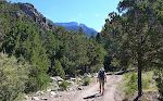 Her ses udsigten op igennem den kløft, Spanish Creek løber ned igennem. Resten af turen går vi i en skov uden nogen udsigt.