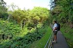 17. jan: På vej til Akaka Falls.