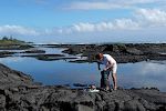 Disse tidepools er et slaraffenland for snorklere, med masser af koraller og fisk.