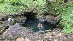 Hawaiiansk familie i en naturlig varm pool i Isaac Hale Park.