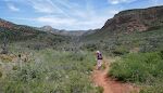 Vi er nu kommet ca. 2½ km ind i Jack's Canyon, og Gunhild står og kigger på nogle røde blomster'.
