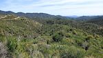 De sidste 25 km til byen Prescott går igennem Bradshaw Mountains, som er del af Prescott National Forest. Et flot område.