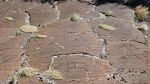 Nærbillede af nogle af petroglyfferne. De fleste af dem ligner 'tændstikfolk'. Nærbillede af nogle af petroglyfferne. De fleste af dem ligner 'tændstikfolk'.