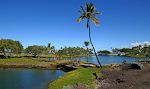 Vi kører mod nord til Mauna Lani resort (til højre i billedet) og kommer forbi nogle fiskedamme på vej ud til kysten. Vi kører mod nord til Mauna Lani resort (til højre i billedet) og kommer forbi nogle fiskedamme på vej ud til kysten.