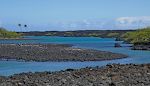 Vi kan nu se mundingen af Wainanali'i Lagoon. Stien langs lagunen er en prøvelse. Den går på meget ujævn pahoehoe lava, og der er faktisk ingen egentlig sti. Vi kan nu se mundingen af Wainanali'i Lagoon. Stien langs lagunen er en prøvelse. Den går på meget ujævn pahoehoe lava, og der er faktisk ingen egentlig sti.