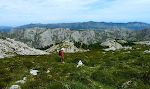 Over trægrænsen. Der er i øvrigt ingen fyrretræer i Picos de Europa, da de ikke kan gro i den alkaliske jordbund fra kalkstenene. Over trægrænsen. Der er i øvrigt ingen fyrretræer i Picos de Europa, da de ikke kan gro i den alkaliske jordbund fra kalkstenene.
