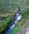 Vi er på vej til Avalanche Lake. Efter 'Trail of the Cedars' fortsætter stien langs den brusende Avalanche Creek.