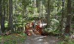 Vi krydser en sidegren til Haskill Creek. Et skilt ved stiens start fortalte, at en vandrer så en puma ved denne bro den 28/6 i år.