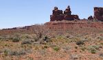 Der går køer i Valley of the Gods. Her forsøger en ko med sin kalv at finde lidt skygge for den varme middagssol. Klippeformationen bag dem kaldes 'Rudolph and Santa Claus'.