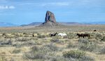 Lige før jeg kommer til Red Valley, ser jeg denne formation, som kaldes 'The Thumb'. Jeg kører her langs grænsen til New Mexico, og 'Tommelfingeren' ligger faktisk i New Mexico.