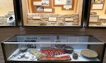 Min plan for Farmington var bl.a. at besøge Chaco Canyon, som er USA's største Anasazi pueblo, men Chaco Culture National Historical Park er for tiden lukket pga. USA's government shutdown. Så jeg vælger at besøge Salmon Ruins i Bloomfield, som ligger kun 17 km væk.