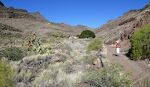 Vi er fra byen Veneguera startet på et 6 km loop, hvor vi først går op igennem Barranco de Loseco, hvor der gror en masse 'prickly pear' kaktus, som på dansk skulle hedde figenkaktus.