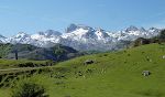 Det er en flot køretur op til Lagos de Covadonga. Det er en flot køretur op til Lagos de Covadonga.