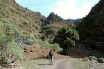 14. februar: Vi er gået op i Barranco de Fernando Porto, som ligger lige syd for Santo Domingo.