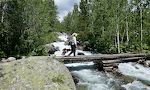 Kort efter turens start krydser vi Taggart Creek. Kort efter turens start krydser vi Taggart Creek.
